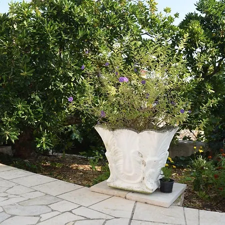 Andela I Mladen Debelic Apartment